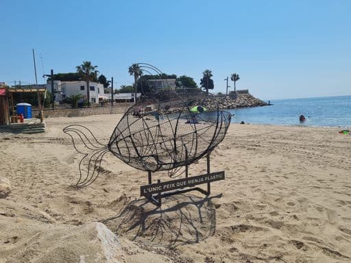 La Regidoria de Medi Ambient de l'Ampolla promou diversos projectes i activitats per a fomentar la cura de les platges