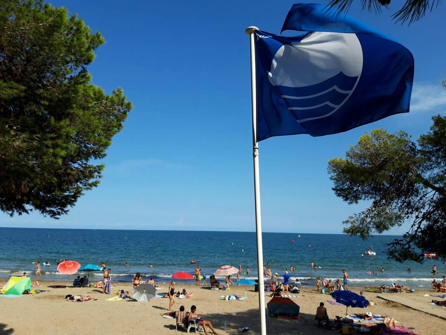 La bandera blava tornarà a onejar a les platges de les Avellanes i Cap-Roig