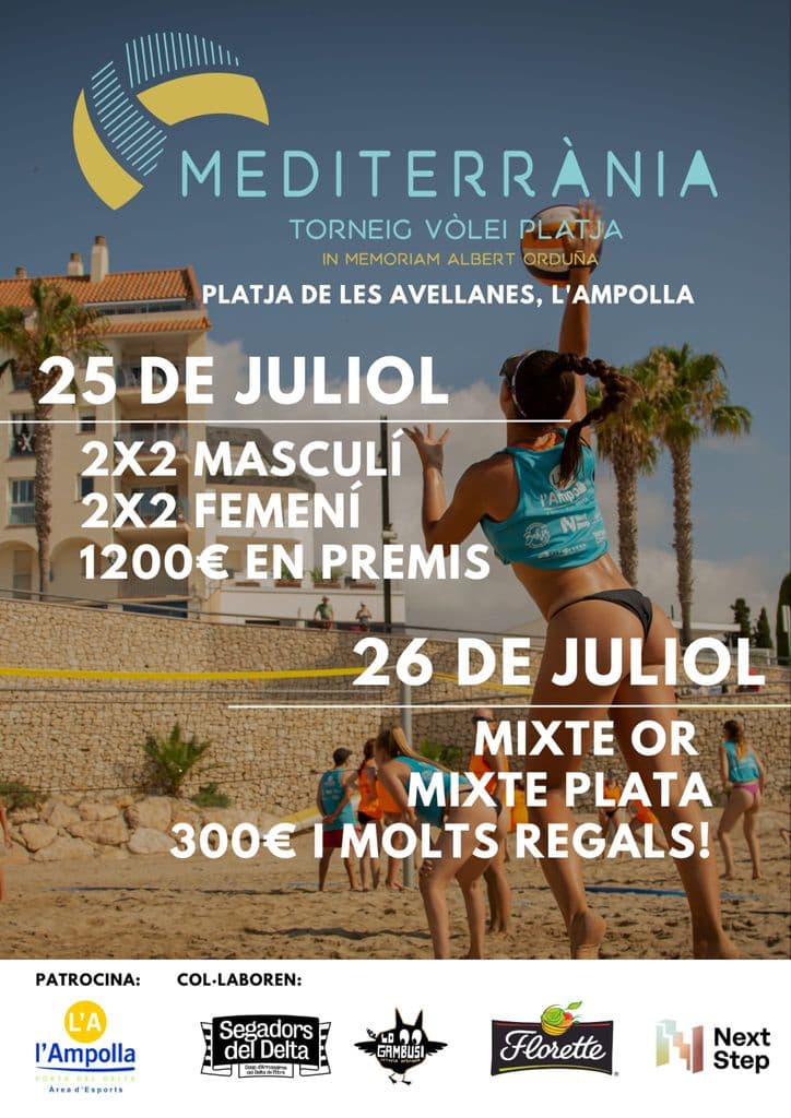 07 25 cartell volei platja .jpg
