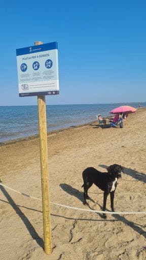 L'Ampolla habilita un tram de la platja de l'Arenal per a gossos